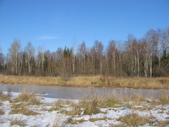 Пеший поход по Московской области 008.jpg